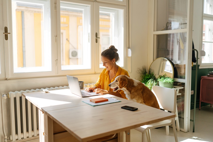 A tax professional's guide to remote work taxes