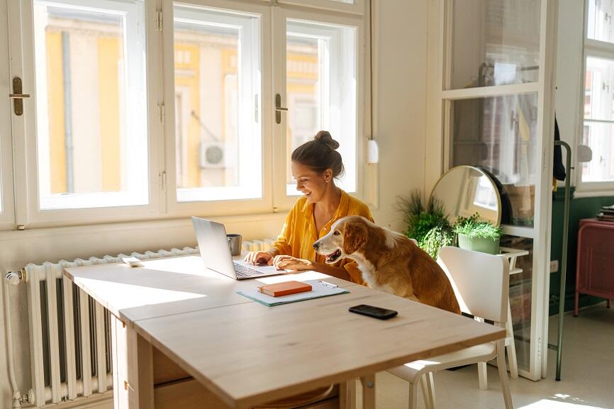 woman sitting beside a sunny window with her dog reading an article on her laptop aboutremote worker taxes